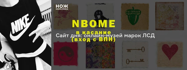 хмурый Алексин
