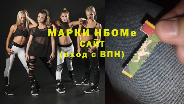 хмурый Алексин