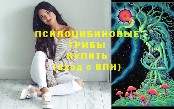 хмурый Алексин