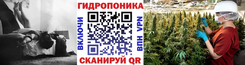 Канабис гибрид  Заинск 